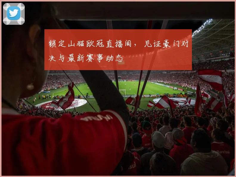 锁定山猫欧冠直播间，见证豪门对决与最新赛事动态