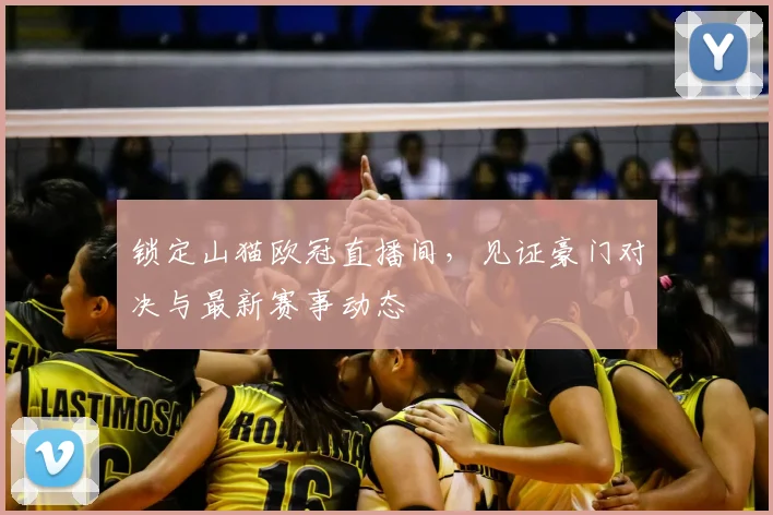 锁定山猫欧冠直播间，见证豪门对决与最新赛事动态