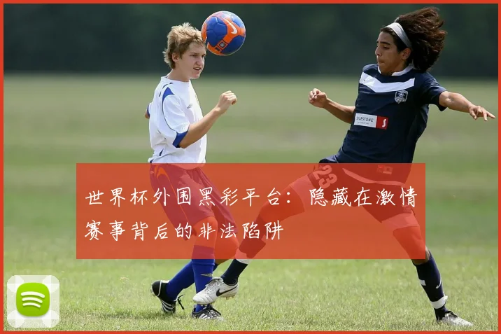 世界杯外围黑彩平台：隐藏在激情赛事背后的非法陷阱