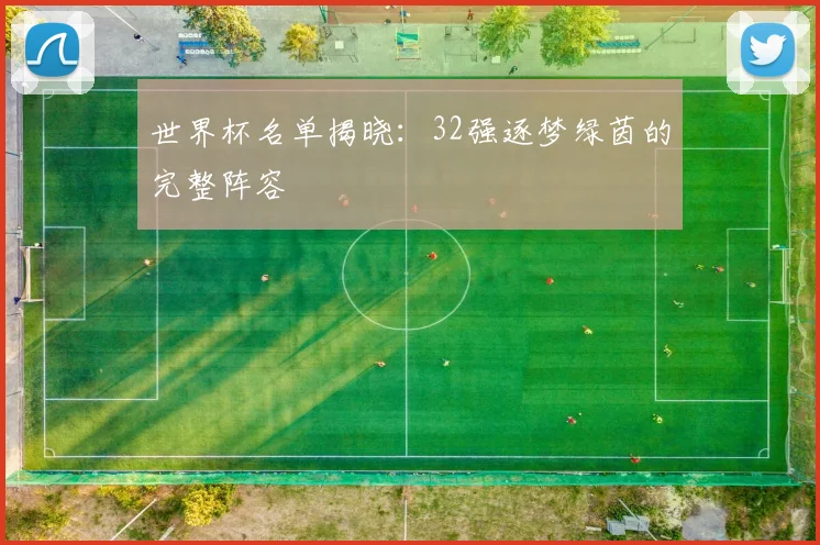 世界杯名单揭晓：32强逐梦绿茵的完整阵容