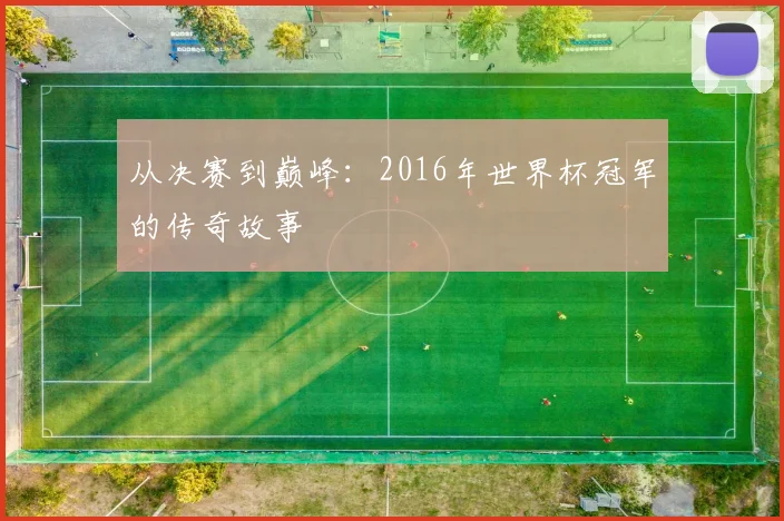 从决赛到巅峰：2016年世界杯冠军的传奇故事